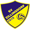 SV Zillingdorf